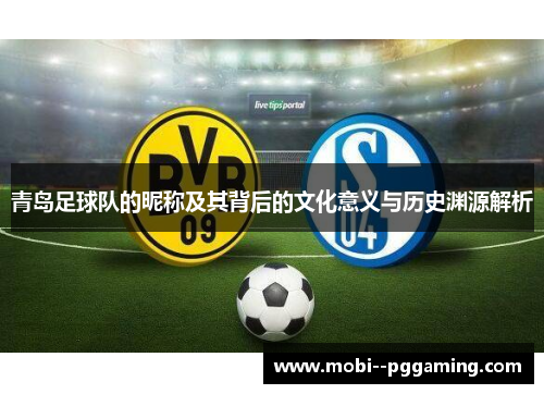 青岛足球队的昵称及其背后的文化意义与历史渊源解析 青岛足球队的昵称及其背后的文化意义与历史渊源解析