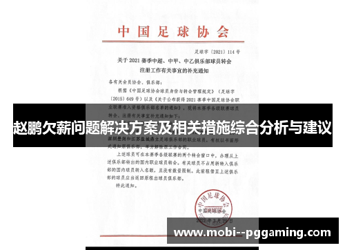 赵鹏欠薪问题解决方案及相关措施综合分析与建议 赵鹏欠薪问题解决方案及相关措施综合分析与建议