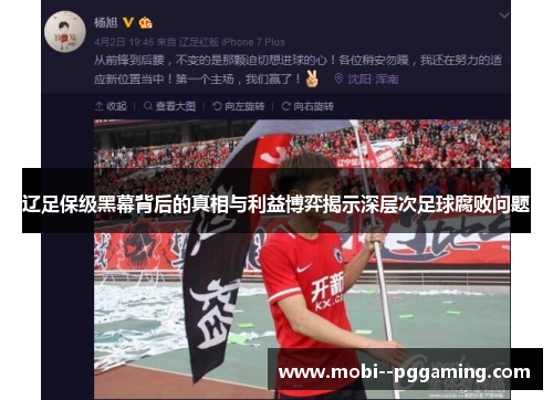 辽足保级黑幕背后的真相与利益博弈揭示深层次足球腐败问题 辽足保级黑幕背后的真相与利益博弈揭示深层次足球腐败问题
