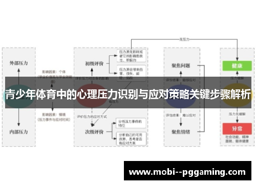 青少年体育中的心理压力识别与应对策略关键步骤解析