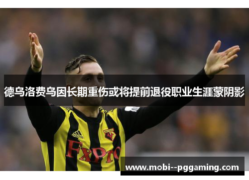 德乌洛费乌因长期重伤或将提前退役职业生涯蒙阴影 德乌洛费乌因长期重伤或将提前退役职业生涯蒙阴影