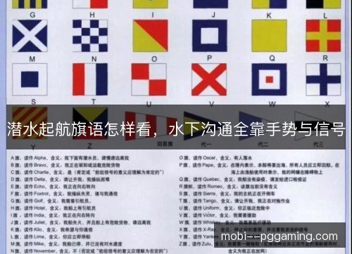 潜水起航旗语怎样看，水下沟通全靠手势与信号